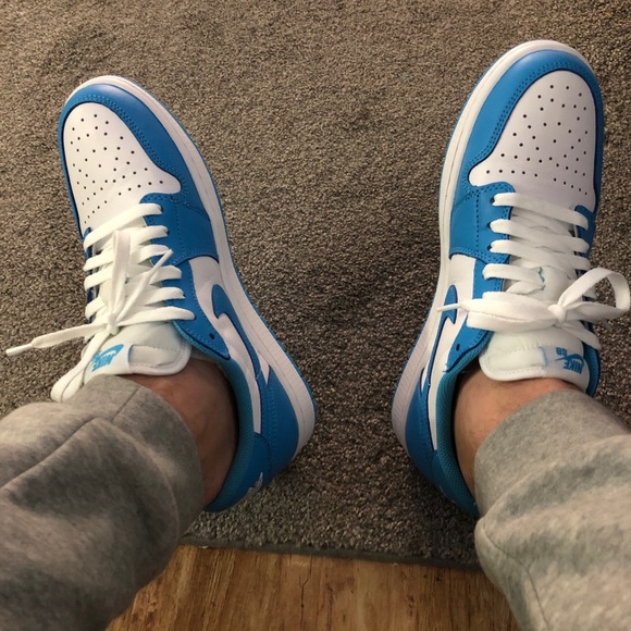 Meet your Posher, Bo - Picture 2 of 4